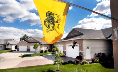 Homes along Wheatland Pines Drive, in south Fargo, fly North Dakota State University Bison flags. Photo by Dave Wallis, The Forum.